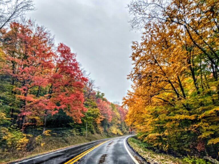 Five Fall Foliage Road Trips - Morgantown magazine