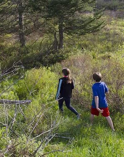 Hiking children in West Virginia forest