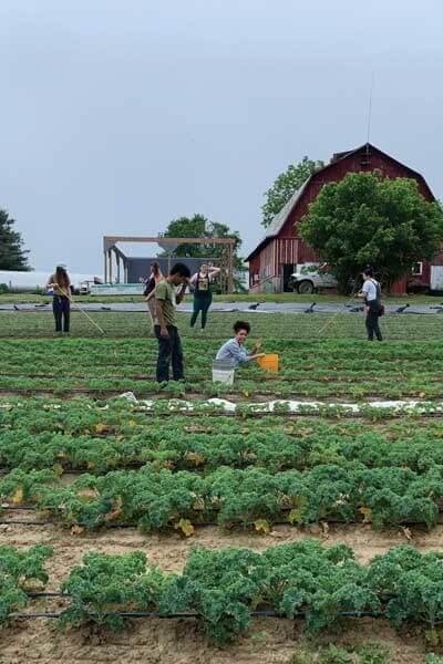 Fellows from the Food Justice Lab's Appalachian Food Justice Institute working at Sprouting Farms in Talcott, West Virginia