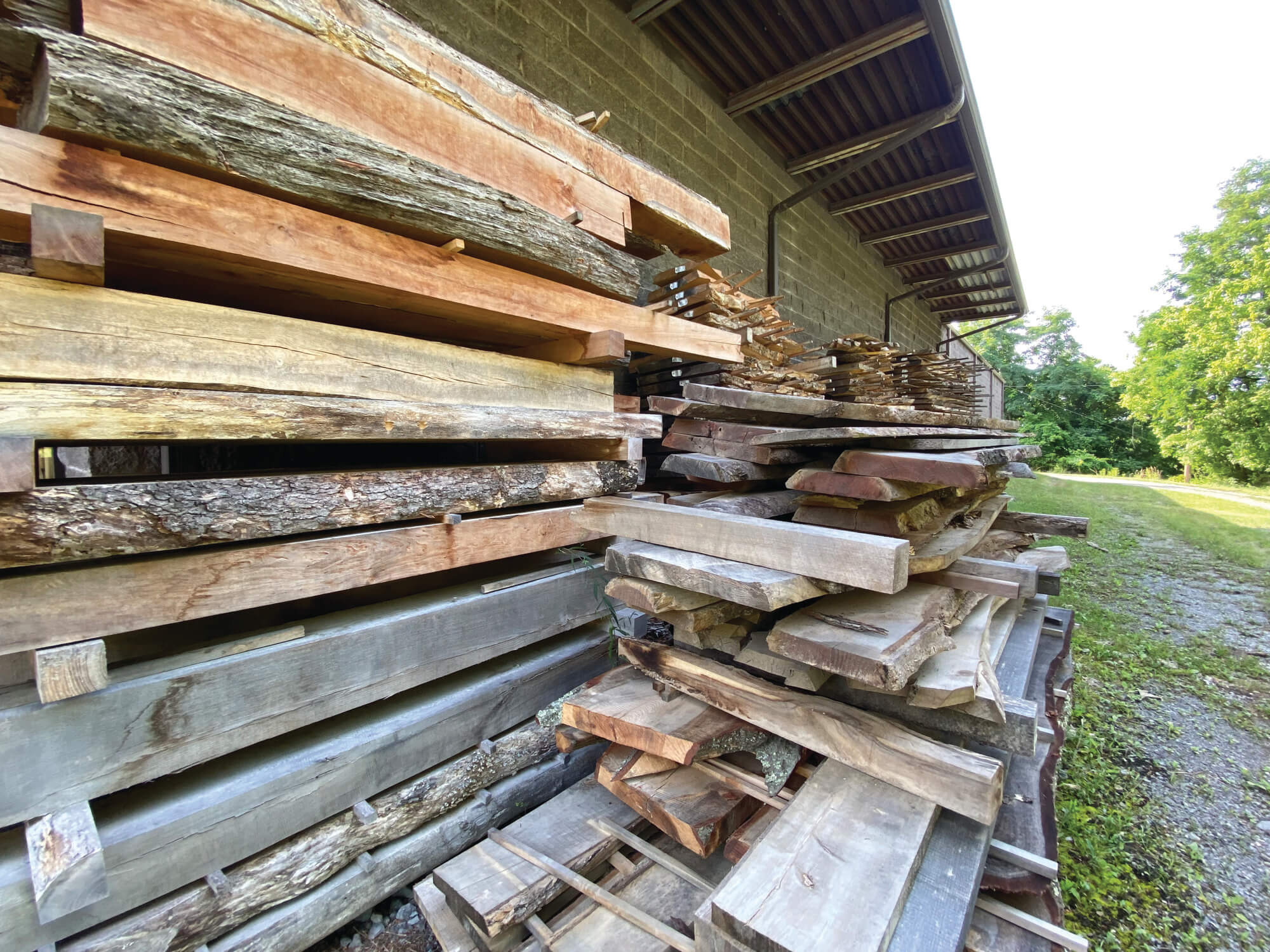 wood and wood pile 